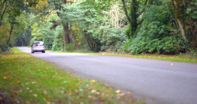 Car driving down a road surrounded by trees in the countryside