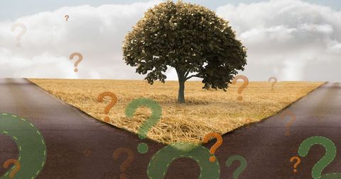 Conceptual landscape with tree and question marks symbolizing uncertainty