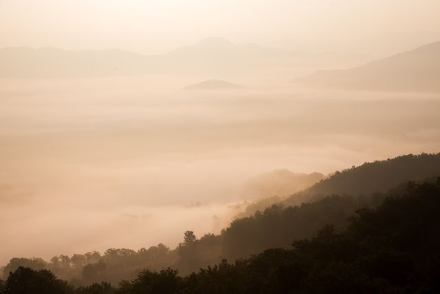 Misty morning fog blankets a serene mountainous landscape, creating a tranquil and peaceful atmosphere. The distant hills and valleys, partially shrouded in mist, provide a calming natural scenery. This can be used for background images, nature-focused publications, mindfulness apps, and environmental campaigns emphasizing tranquility and serenity.