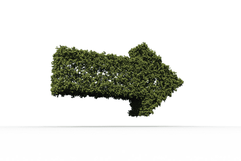leafy right arrow transparent background eco concept - Download Free Stock Videos Pikwizard.com