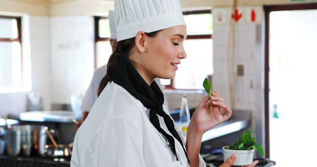 Female Chef Smelling Fresh Basil Leaves in Professional Kitchen - Download Free Stock Images Pikwizard.com