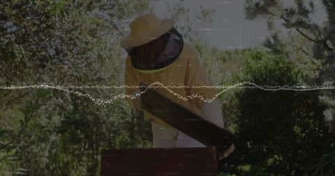 Beekeeper handling honeycomb in lush garden setting