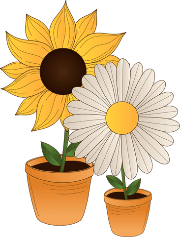 Transparent Background Illustration Sunflower and Daisy Potted Arrangement