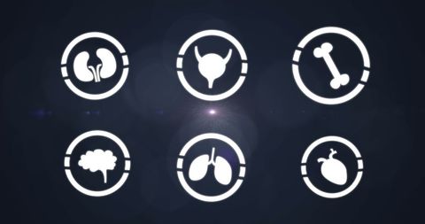 Human Organ Icons Illustrating Health and Anatomy Concepts - Download Free Stock Images Pikwizard.com