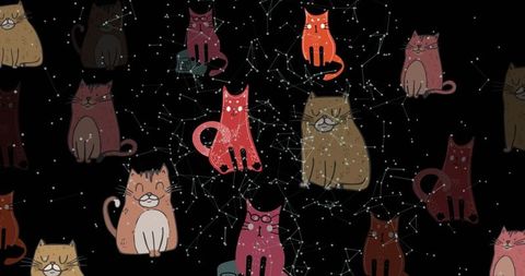 Whimsical cartoon cats with celestial constellations design