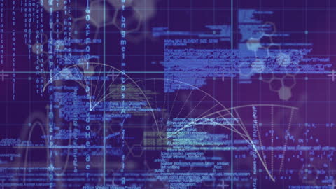 Medical Data Processing and Digital Network Animation