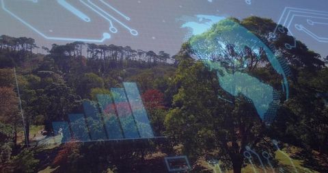 Forest canopy merging with digital globe and rising data chart from aerial perspective