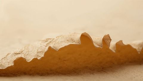 Closeup torn parchment edge with serrated curl macro texture on warm beige paper surface