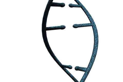 transparent vector illustration of dna strand fragment - Download Free Stock Videos Pikwizard.com