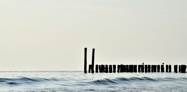 Calm Sea Waves Against Silhouette of Wooden Pillars at Dusk - Download Free Stock Images Pikwizard.com