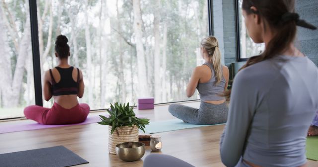 Back View of Multiethnic Women Practicing Meditation in Peaceful Yoga Studio - Download Free Stock Images Pikwizard.com