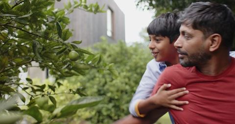 Father and Son Bonding in Garden Observing Citrus Tree
