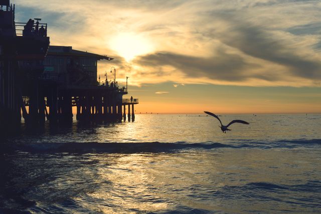 Serene sunset at pier with seagull in flight over calm ocean waters. Perfect for travel promotions, tourism websites, nature magazines, or inspirational blogs. Ideal for themes focusing on tranquility, nature's beauty, or coastal living.
