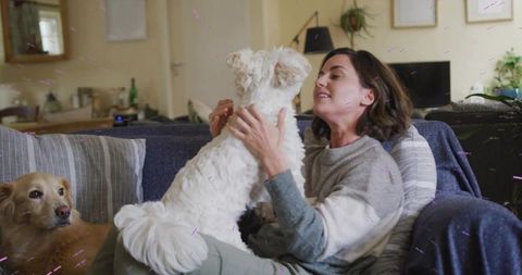 Woman cuddling small white dog on couch with golden dog relaxing nearby cozy home living