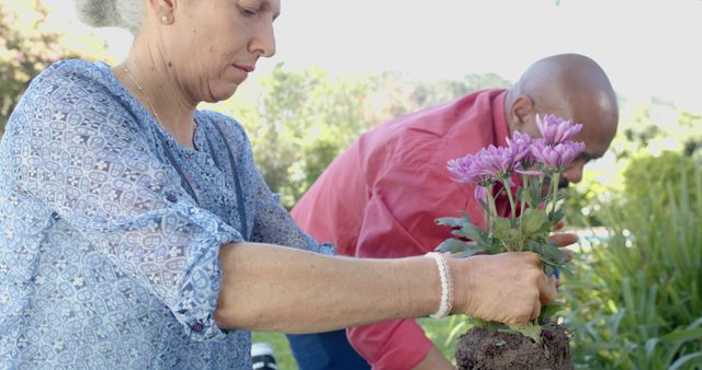 Senior Couple Gardening with Potted Flowers in Sunlit Yard - Download Free Stock Images Pikwizard.com