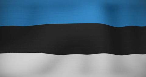 Waving estonian flag celebrating national pride