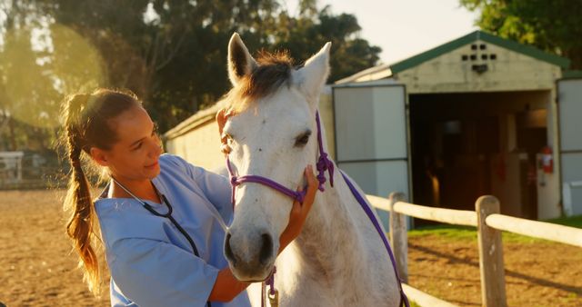 Female veterinarian checking a white horse at a stable in bright sunlight. Ideal for themes involving veterinary medicine, animal care, equine health, farm life, rural living, and outdoor activities. Can be used to depict the caring relationship between a vet and an animal.