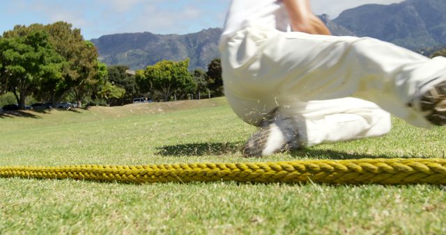 Cricket Player Sliding to Catch Ball on Field - Download Free Stock Images Pikwizard.com