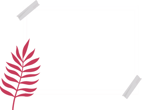 Minimalist leaf frame on transparent background