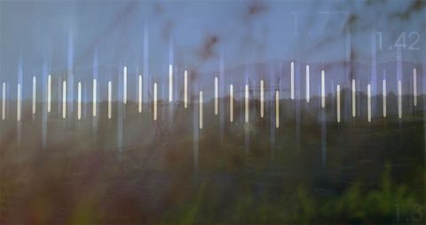 Digital Audio Waveform Over Grassland Landscape