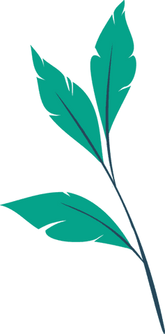 Transparent Minimalist Green Leafy Branch Vector - Download Free Stock Videos Pikwizard.com