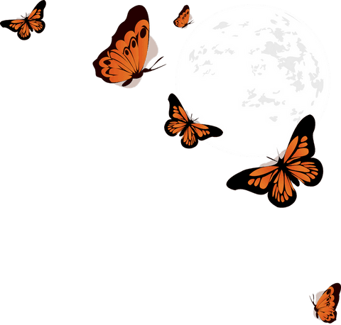 monarch butterflies fluttering around full moon transparent vector art - Download Free Stock Videos Pikwizard.com