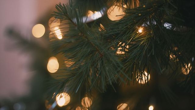 Warm Amber Bokeh Glowing Through Pine Needles Close-Up Holiday Cozy Atmosphere