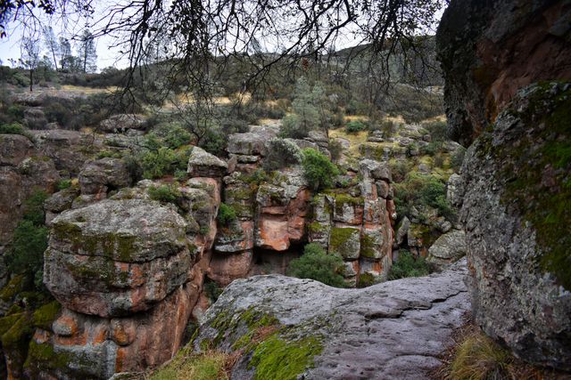 Rugged Rocky Terrain with Vegetation on an Overcast Day - Download Free Stock Images Pikwizard.com