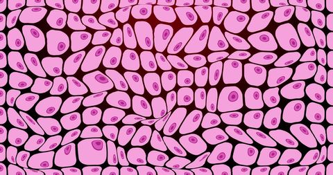 Pink Cells in Motion on Black Background - Download Free Stock Images Pikwizard.com