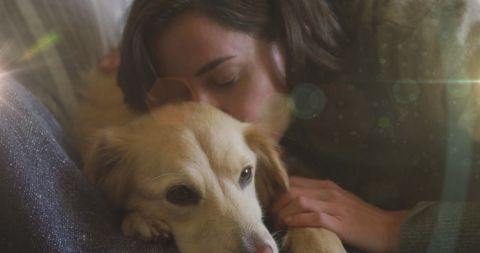 Woman Embracing Golden Dog at Home with Visible Light Flare Effect - Download Free Stock Images Pikwizard.com