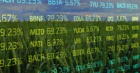 Overlaying neon ticker on green wheat field under blue sky, illustrating agri-data convergence