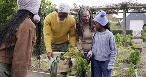 Multigenerational Black Family Harvesting Homegrown Vegetables in Community Garden