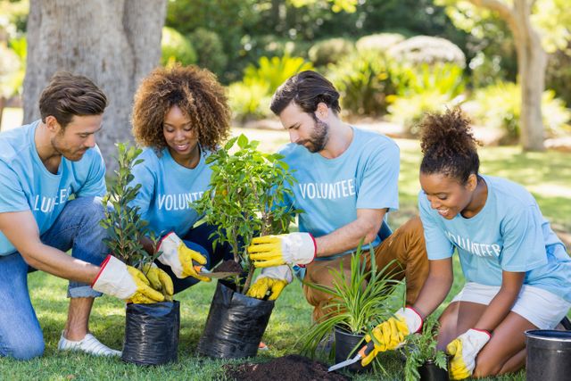 Group of volunteers planting trees in a park, wearing blue shirts and gloves. Ideal for use in campaigns promoting community service, environmental conservation, teamwork, and outdoor activities. Suitable for illustrating concepts of sustainability, nature preservation, and social responsibility.