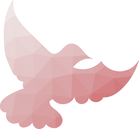 Geometric Pink Bird Silhouette on Transparent Background - Download Free Stock Videos Pikwizard.com