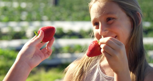 Young girl enjoying fresh strawberries outdoors in a sunny field, showcasing joy and wholesome eating. Perfect for themes of childhood fun, summer activities, healthy eating, and agricultural experiences. Ideal for use in advertising campaigns, educational materials, and lifestyle blogs.