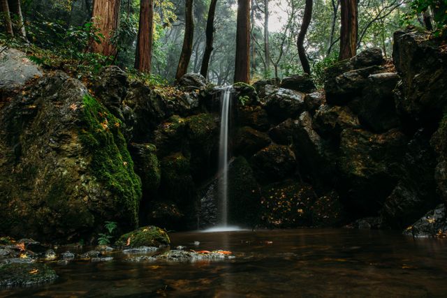 This image features a tranquil waterfall flowing gently over rocks in the middle of a dense, lush forest. Moss covers the rocks and the water creates a serene atmosphere, perfect for nature-related articles, environmental awareness campaigns, travel blogs, and outdoor adventure promotions.