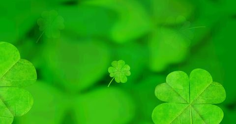 Clover Leaves Falling on Vibrant Green Background - Download Free Stock Images Pikwizard.com