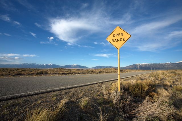 Open range road sign set in a vast and remote desert landscape with mountains in the background. Blue skies and a long, empty highway stretch into the distance, emphasizing freedom and adventure. Ideal for use in travel advertisements, road trip blogs, scenic roadway promotions, and illustrating concepts of solitude and exploration within nature.