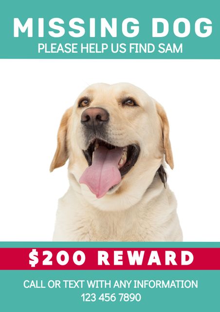 Poster featuring a call to action to help find a missing dog named Sam, with emphasis on a reward of $200 for information. Useful for creating community awareness and assistance in bringing the lost pet back home. Ideal for community boards, social media, and distributing in local areas.