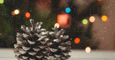 Christmas Pine Cones with Festive Lights and Falling Snow - Download Free Stock Images Pikwizard.com