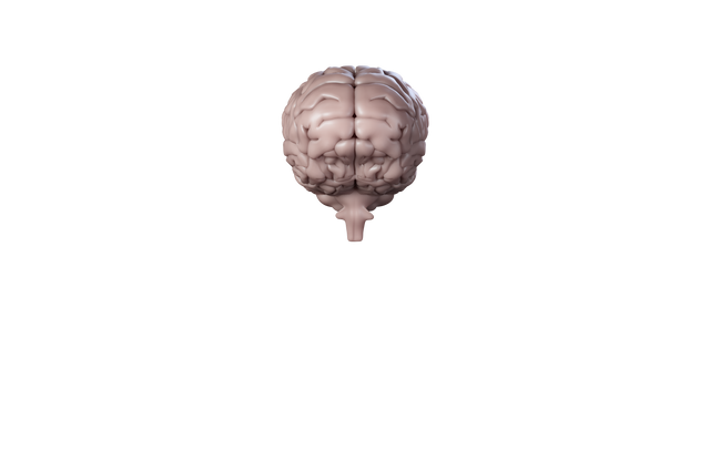 Digital Pink Human Brain Illustration on Transparent Background - Download Free Stock Videos Pikwizard.com