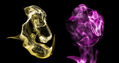 Dynamic particle vapors in motion on black canvas