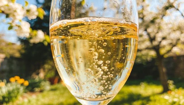 Sunlit sparkling wine bubbles rising in backyard garden flute with golden effervescence