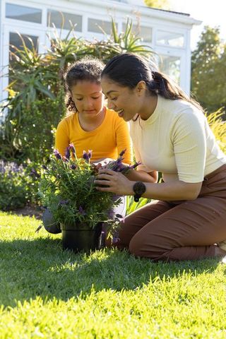 Mother teaching daughter gardening planting lavender in sunny backyard conservatory