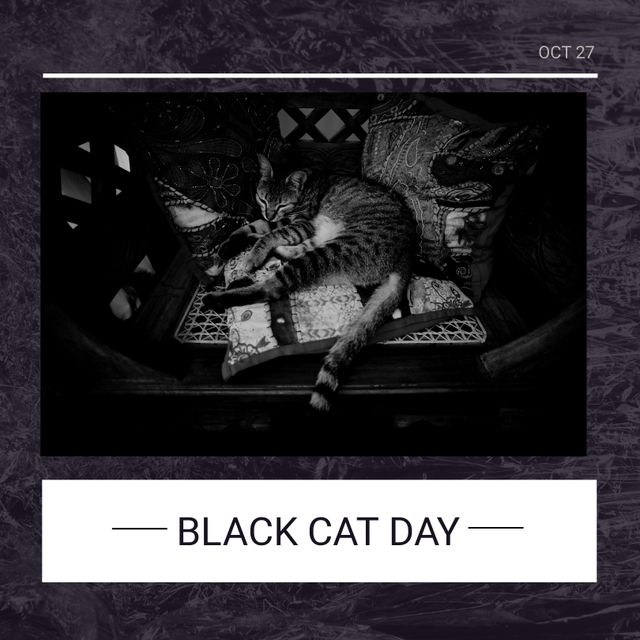 Composition of black cat day text over black and white cat lying. Black cat day and celebration concept digitally generated image.