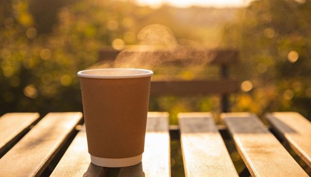 Steaming paper cup on sunlit wooden table in park at golden hour morning