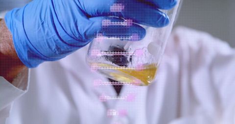 Scientist analyzing sample with dna structure overlay