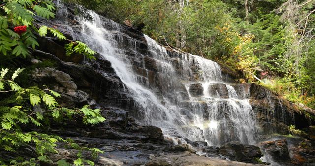 Picture captures a serene forest waterfall with water cascading over rocks. A lush green backdrop surrounds the scene, with hardwood trees and glimpses of autumn foliage. Great for illustrating travel, nature exploration, hiking destinations, ecotourism, environmental awareness, and landscape beauty.