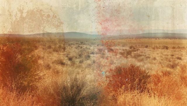 Arid desert vista with autumn hues and distant hills