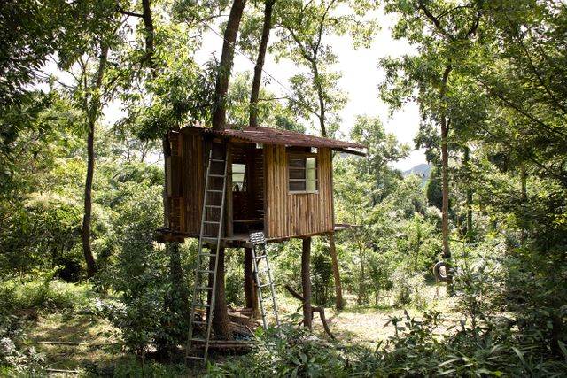 Rustic treehouse nestled among lush green trees in a serene forest setting. Ideal for outdoor activity themes, childhood adventure stories, or eco-friendly living representations.